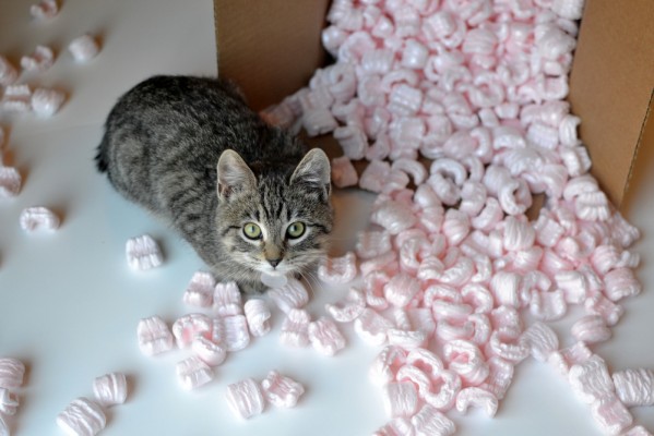 shutterstock_167902106