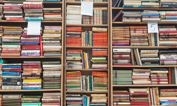 bookcase.over