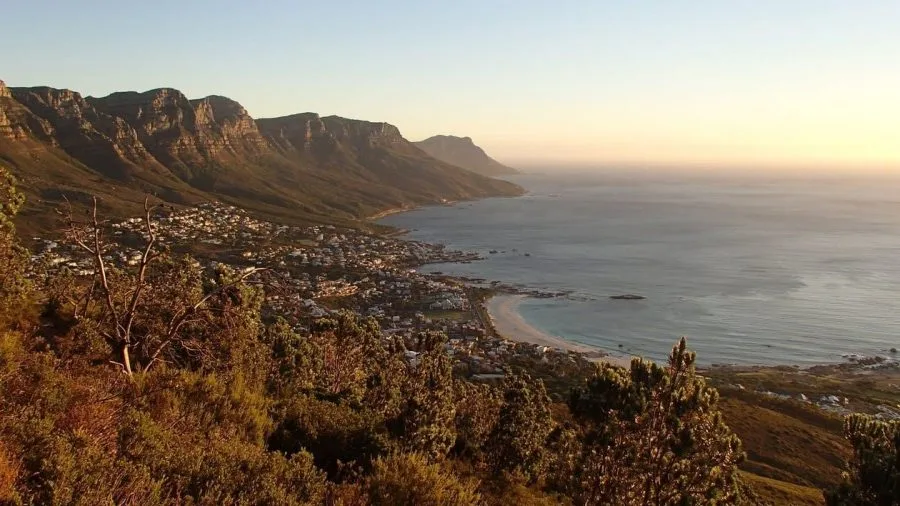 Moving to South Africa