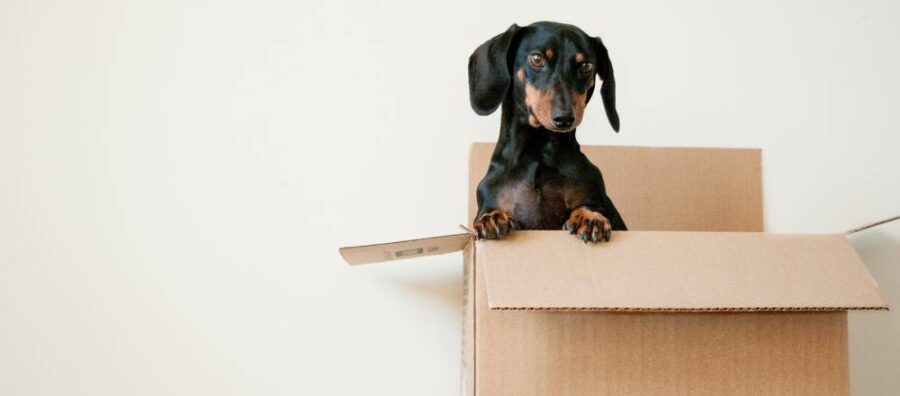Shipping Personal Belongings